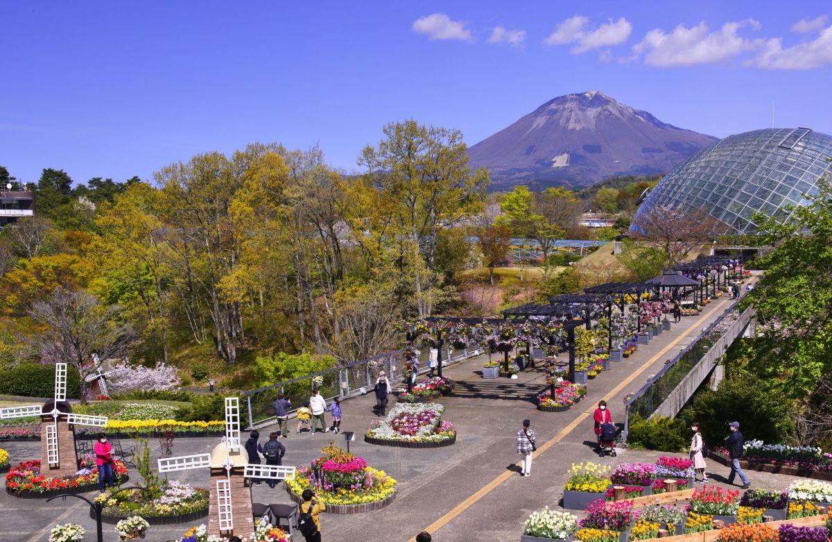 研究発表（第61回大会）募集